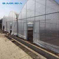 Los invernaderos agrícolas galvanizados del palmo multi del marco de acero florecen el crecimiento vegetal