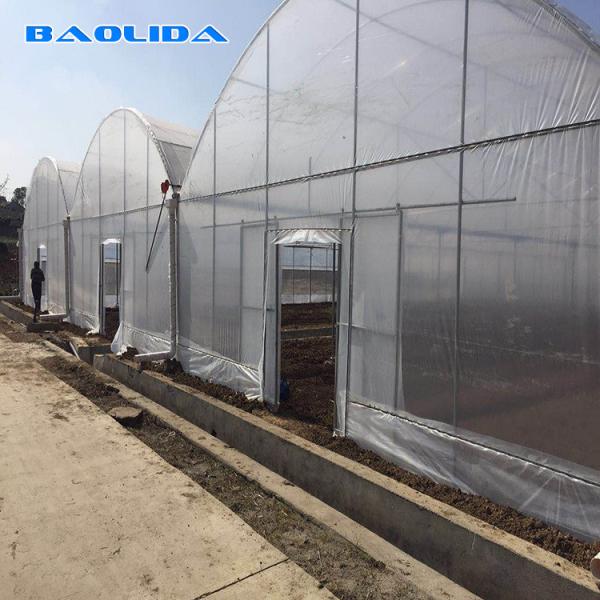 Estufa comercial do período do jardim multi para o desempenho estável vegetal
