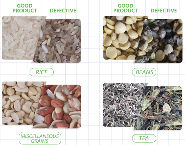 máquina inteligente del clasificador del color del CCD 10t/h para las habas de Mung verdes