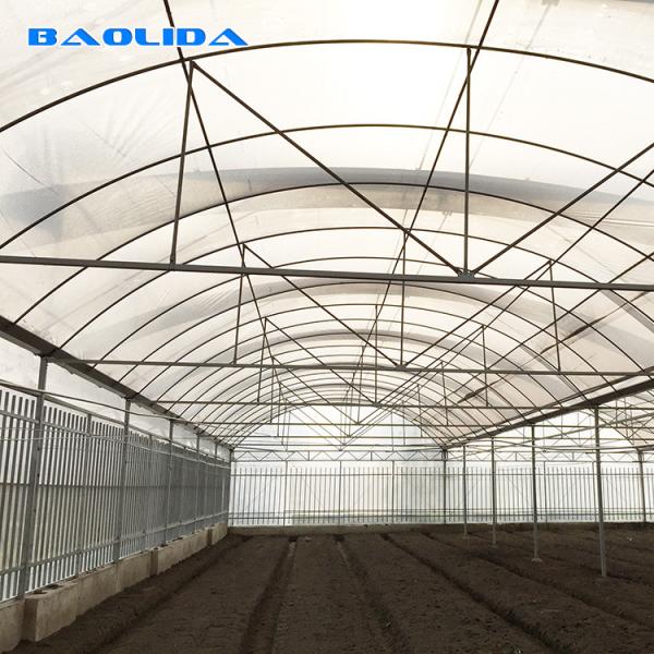 Galvanized Steel Pipe Agricultural Plastic Film Multi Span Tunnel Greenhouse For Vegetable