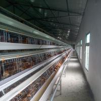 90 oiseaux par couche de cadre met en cage l'équipement de pondeuses de volaille de poulet