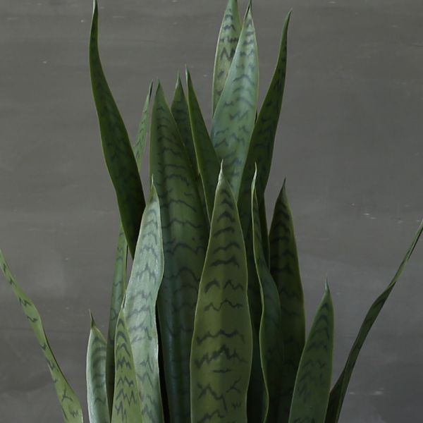 Artificial Potted Bonsai Agave Plant Landing Ornaments Indoor Decoration