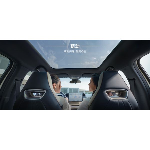 BYD 2025 Dolphin 520km Knight Edition EV