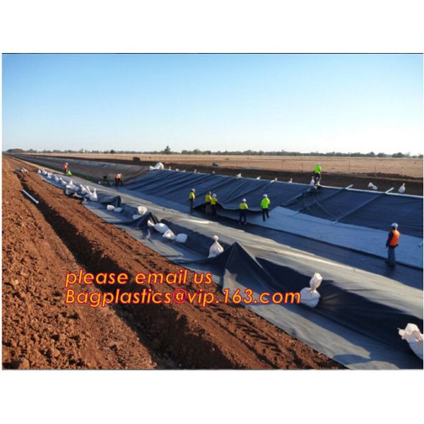 Construction Builder Film, Waterproof Dampproof, PONDS LINER, Geomembrane, Geotextile, Protective Cover