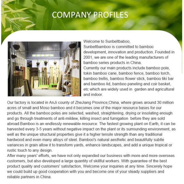 Green/Black Plastic Coated Bamboo Poles - Custom Sizes for Gardening and Decoration