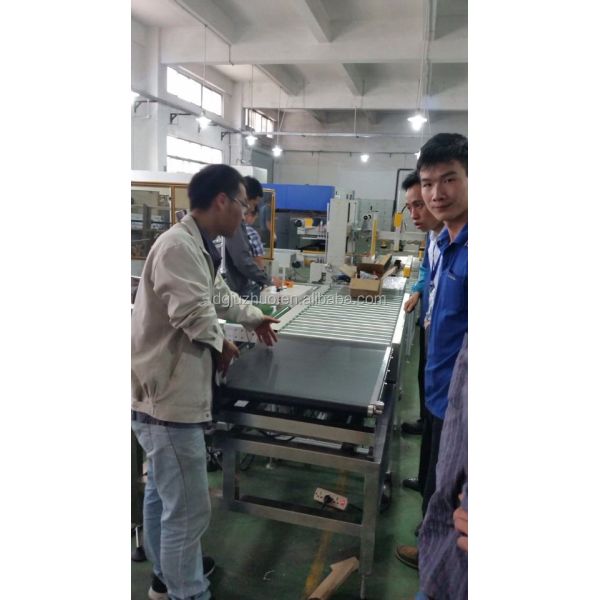 Leveraged Industrial Grade Conveyor Checkweigher Weight Grading Machine System Equipment JZ-W100g