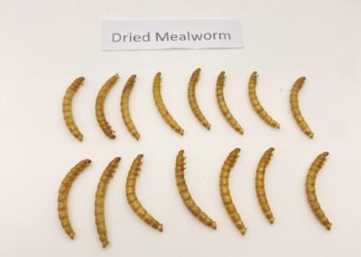 FDA GMP+ Natural Flavor Mealworms Fish Food 1 Year Shelf Life