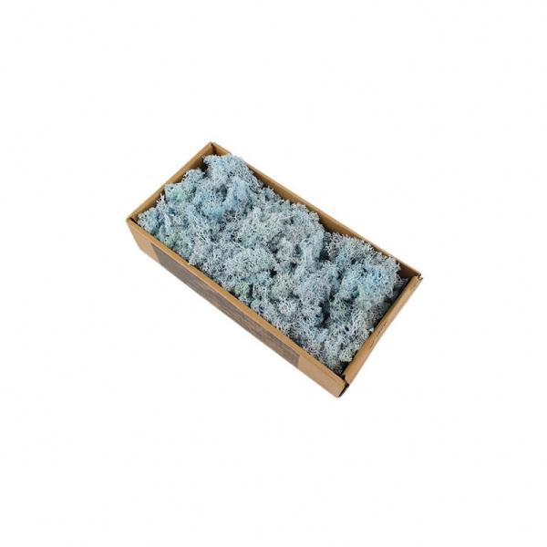Eternal Multiple Colors Preserved Reindeer Moss For Wall Decoration