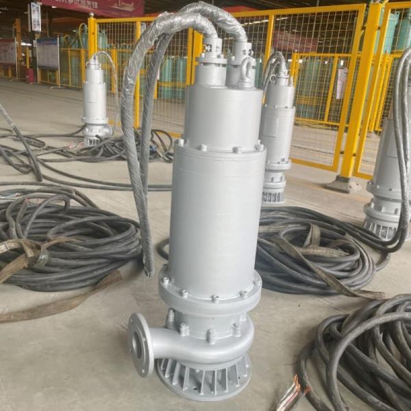 304/316/316L Ss Submersible Pump 30kw 22hp 25m³/H 150m Head
