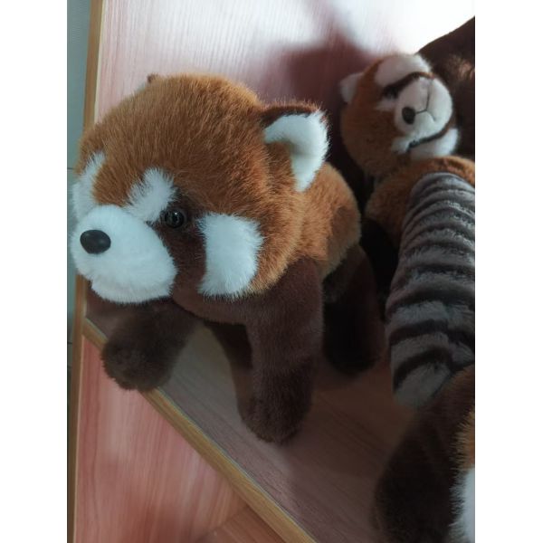 Cute Raccoon Plush Toy Stuffed Doll Cute Cartoon Animal Craft Gift Holiday Gift Fashionable Soft Toy
