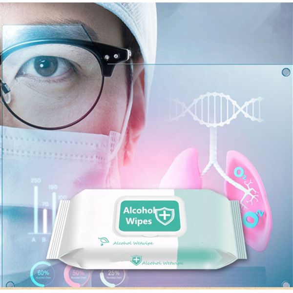 Antibacterial Disinfectant 75% Alcohol Wipes Hand Cleaning Sanitizer