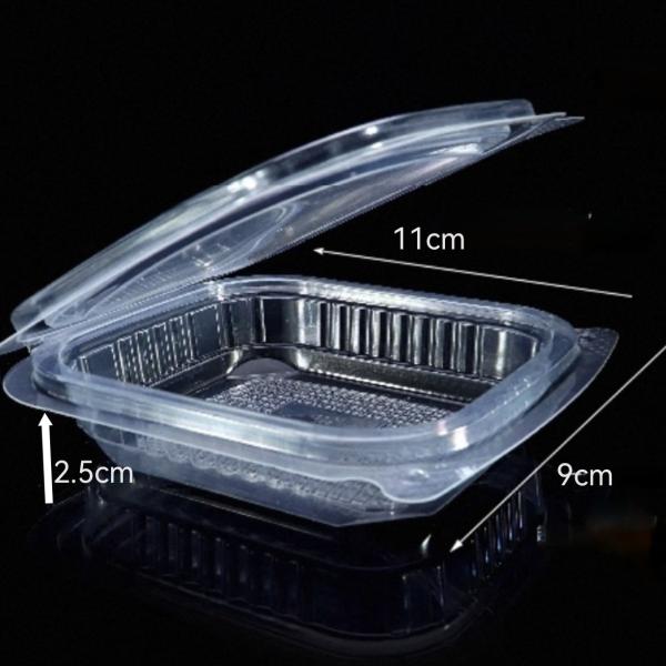 Customized factory disposable transparent vacuum formed rectangular PET plastic hinge clam shell flat lid sauce, fruit and vegetable pudding box