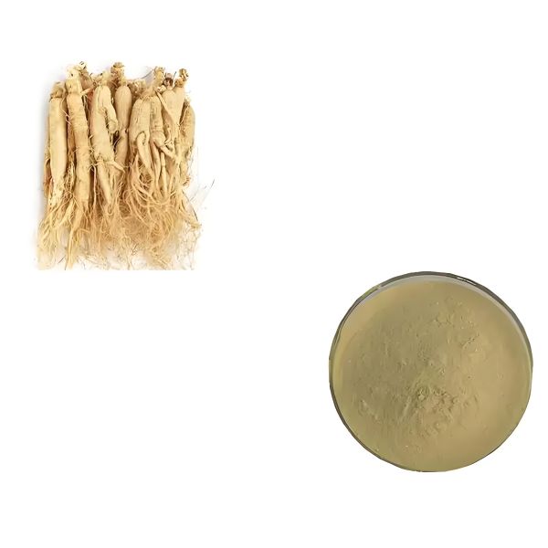 High purity cosmetic grade ginsenoside CK anti-aging factor