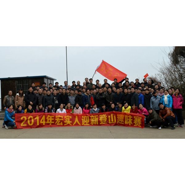 Anhui Hongshi Optoelectronic High-tech Co.,Ltd