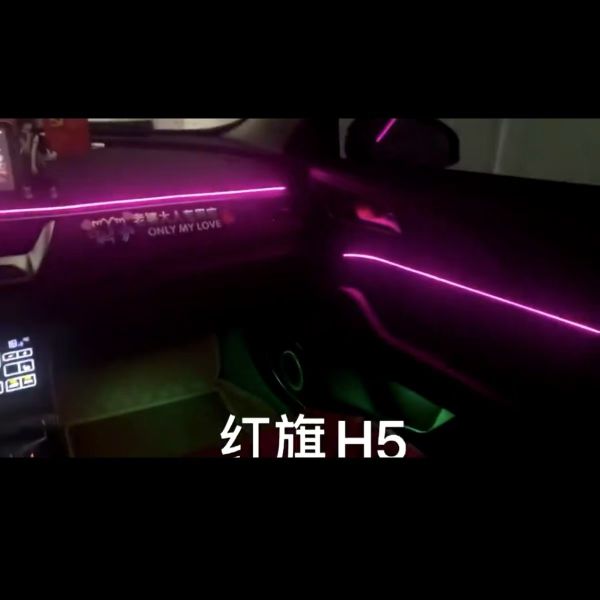 LED 20 Lights Hong Qi H5 Ambient Light(19-22)