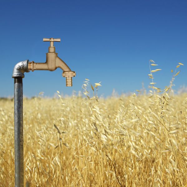 Water Supply Brass Color 1/2 Inch Bibcock Mains Stopcock Brass Stop Bib Cock