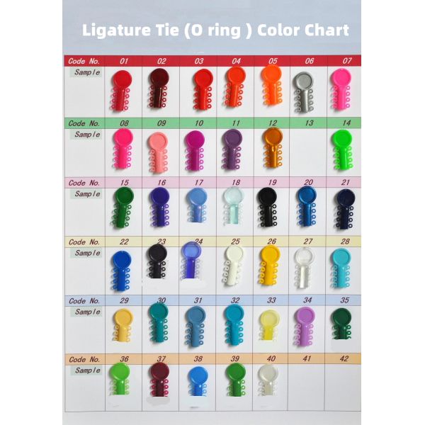 1000pcs/pack Dental Teeth Orthodontic Elastics Ligature Ties Mixed Color