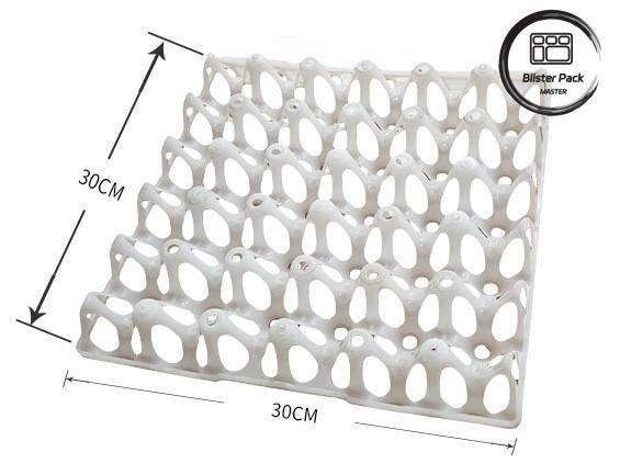 Affordable 30 Cell Plastic Egg Blister Tray Packaging for Chicken Eggs