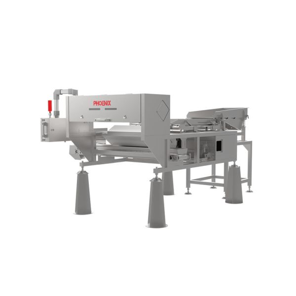 RGB Camera Fruit Sorter Machine 300mm Belt Fruit Sorting Machine