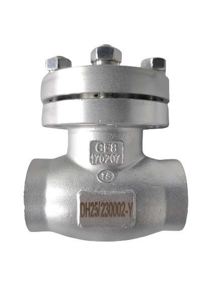 CDH61F-40PB 304 Cryogenic Check Valve SS 304 Low Temperature Customized