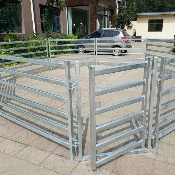 Équipement de ferme Bétail de 6 pieds Bétail de 6 pieds Bétail de 6 pieds Bétail de 6 pieds Bétail de 6 pieds Bétail de 6 pieds Bétail de 6 pieds