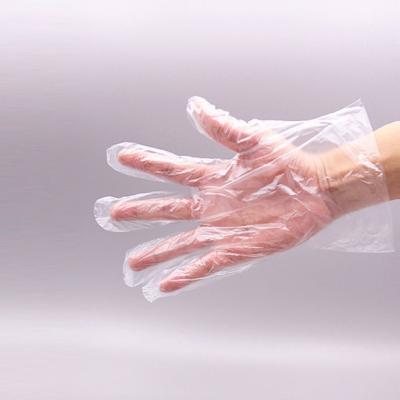 25.5x30cm Disposable PE Gloves CE ISO Certificated Smooth or Embossed Surface