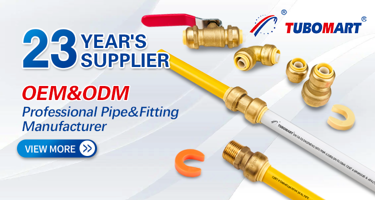 Certificado CE Push in Fittings Plumbing para PEX AL PEX Copper PVC PIPE Suministro de agua EE.UU. CANADA Mercado