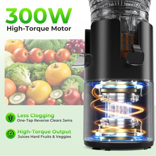 Masticating Juicer Stainless Steel Housing Reverse Mode Low Noise Extraction
