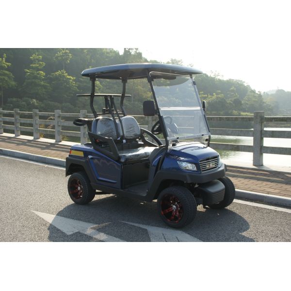 2-Seat Electric Golf Buggy with 30% Climbing Ability 48V Lithium Battery Range For 50-70 km