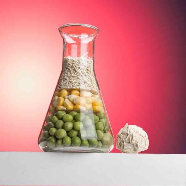 Légume de chat pur parfumé blanc de qualité alimentaire Naturel fibre végétale Légume de chat Tofu