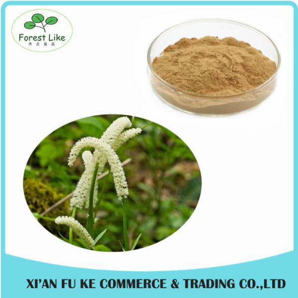 Black Sesame Seed Extract Powder Sesamin 98 %
