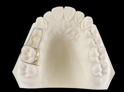 Flexible Band And Loop Space Maintainer Adjustable Orthodontic Functional Appliance