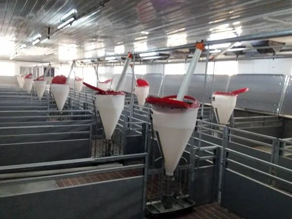 65L 80L Livestock Feeding Equipment Plastic Wet Dry Feeders For Pigs