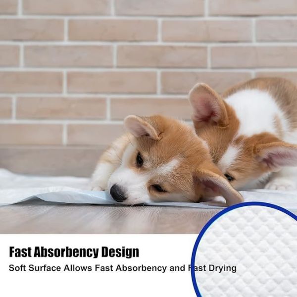 Customized Free Sample Pee Pad for Dog Back Side Waterproof Sanitary Dog Pee Training