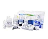 40 tests/Kit méthode SCD Kit de test de fragmentation de l'ADN du sperme colorant de coloration Wright