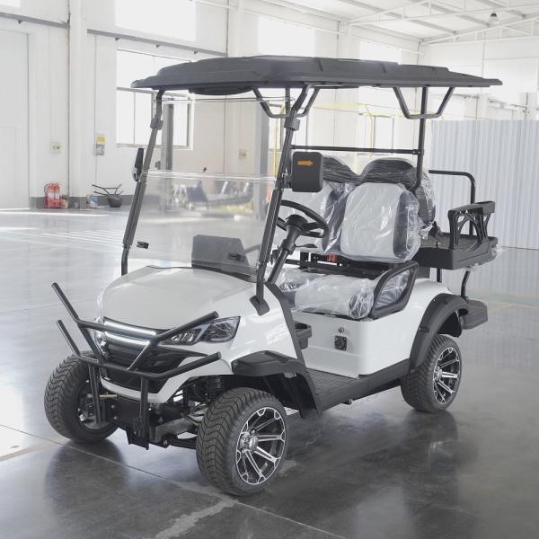 Cargo Transportation Made Easy with ENPOWER Controller Electric Golf Cart 150kg Capacity