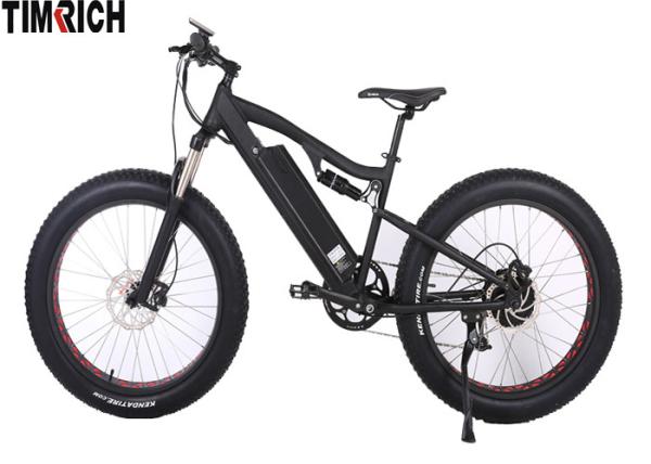 Rear Mounted Brushless Electric Battery Powered Bike TM-BGL-ATV03A 48V750W 8FUN