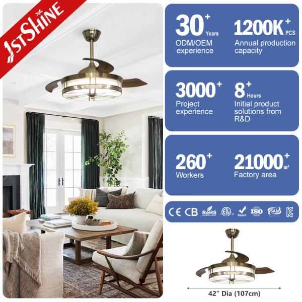Decorative Retractable Ceiling Fan Light DC Motor Acrylic Blades