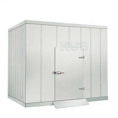 25℃ Cold Storage Subsidy Servicer Uk India 150m³ Cold Food Storage Room