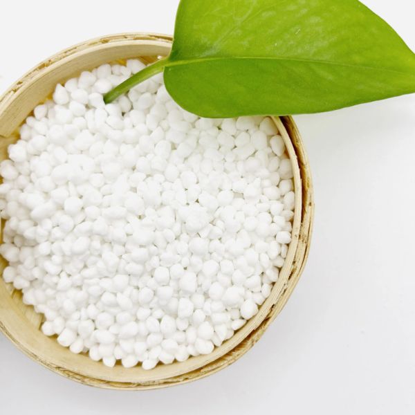 Granular Ammonium Sulphate Fertilizer For Agriculture CAS NO 7783-20-0 Nh 4 2 So 4