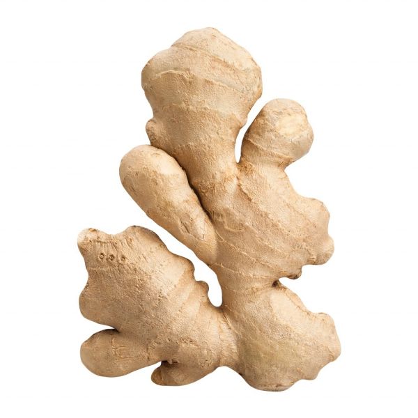 Exporting 6 Months Shelf Life Fresh Ginger to Europe Market Demand