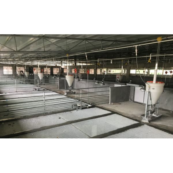 Automatic Livestock Feeding Equipment Nursery Pigs Plastic Hog Feeders