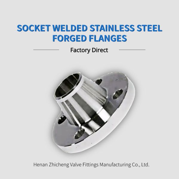 Heat Treatment American Standard 150lb Socket Weld Sw Stainless Steel Forged Flange