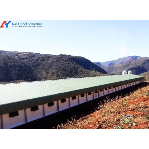 Fully Automatic Galvanized Poultry Farm Equipment with Customizable Layer Cage for Poultry House
