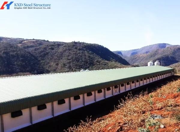 Fully Automatic Galvanized Poultry Farm Layer Cage with Feeding System