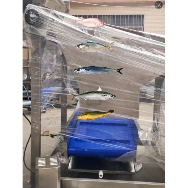 Can Customized Fish Classifying Machine For Small Fish Sizing Machine With Big Capacity