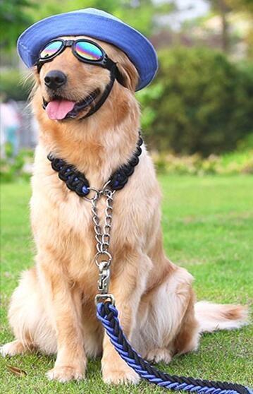 Zinc Plated Pets Choke Chain Dog Tie Out Chain With Heavy Duty Swivel Snap Hook