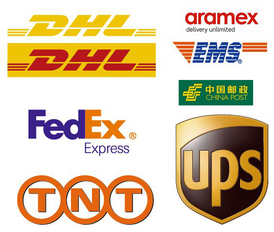 Versatile Spinal Vertebral Puncture Training Simulator for Medical Professionals