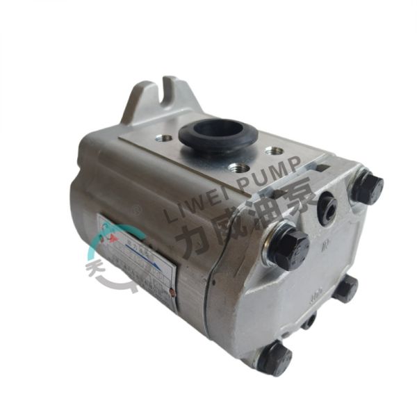 4D95S Forklift Hydraulic Overload Pump Cast Iron Gear Pump 37B-1KB-2020