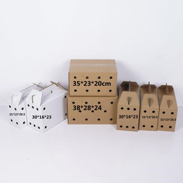 Caisses de transport pour animaux vivants extra résistantes, robustes, pour pigeons, caisses de transport pour animaux de compagnie de différentes tailles pour oiseaux de course et petits animaux